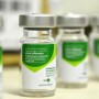 BNDES libera R$ 45,4 milhões para Instituto Butantan desenvolver vacina tetravalente contra gripe