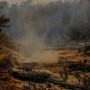 Governo federal mandará apoio para combate a incêndios no Pantanal