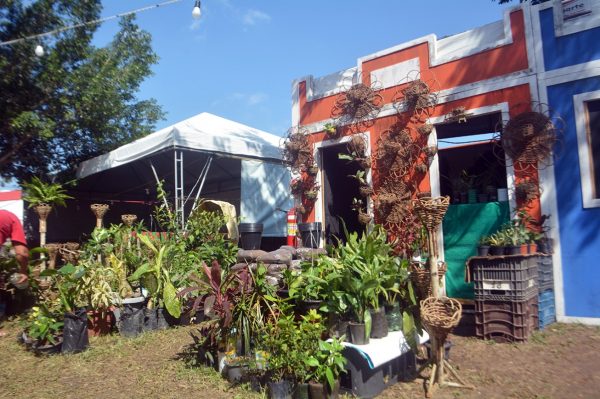 46ª Expofeira é a maior vitrine para pequenos produtores rurais da região