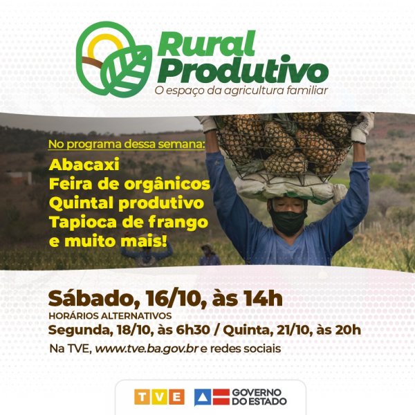 Abacaxi, feira de orgânicos, quintal produtivo e tapioca de frango no Rural Produtivo