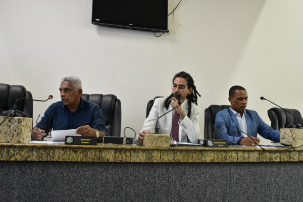Análise de documentos e coleta de depoimentos, primeiras ações da CPI do Shopping Popular