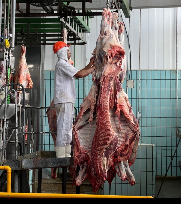 Arroba do boi atinge R$ 320 em Feira de Santana, o maior valor do ano