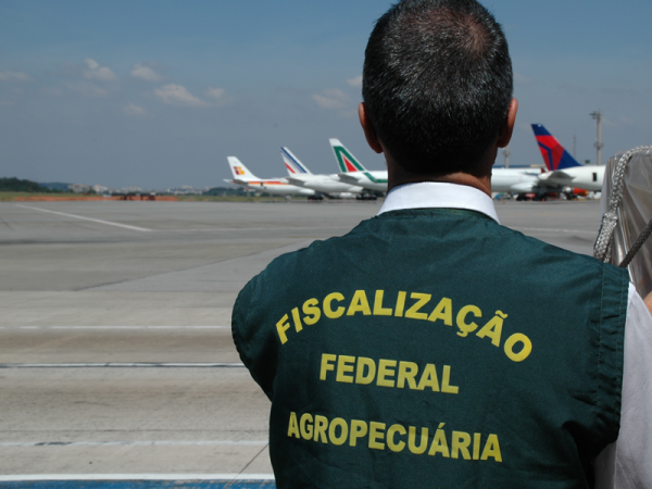 Auditores agropecuários se manifestam contra desmonte e fragilização da carreira