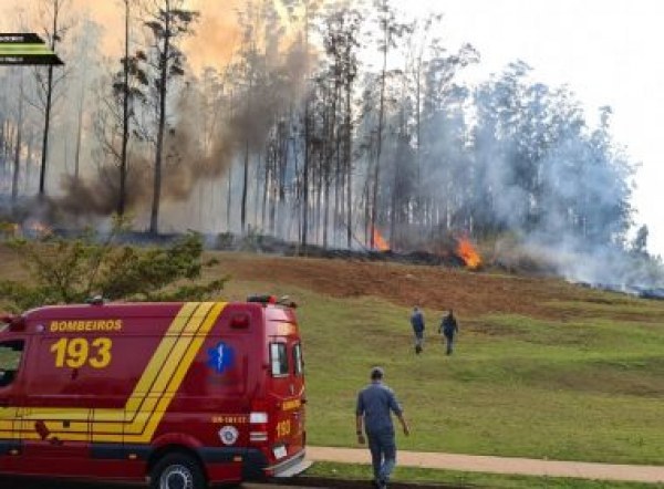 Bombeiros confirmam morte de sete pessoas em acidente de avião em São Paulo