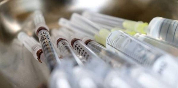 Butantan cria vacina contra Covid e pedirá início de testes