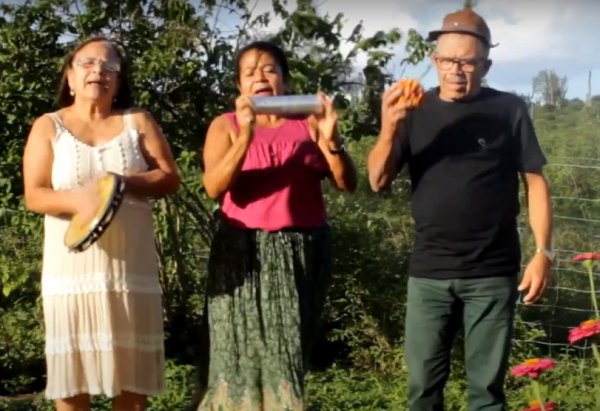 CD Samba na Rede valoriza o samba rural de Feira de Santana