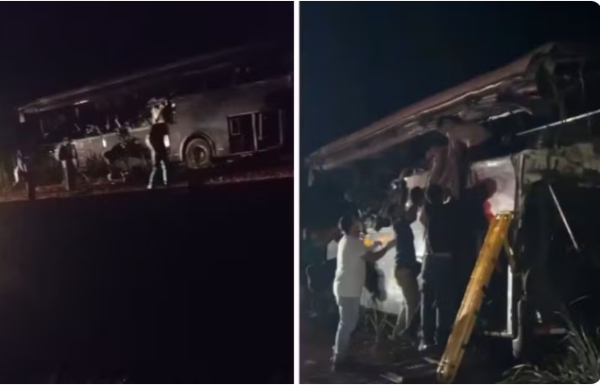 Colisão entre caminhão e ônibus deixa 12 mortos em rodovia do interior de SP