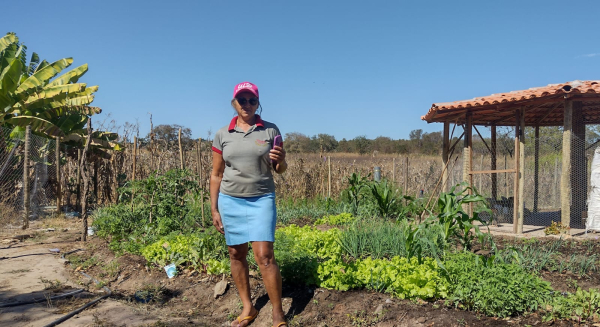 Comunidade rural de Baianópolis cresce impulsionada por projeto de desenvolvimento sustentável