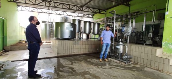 Cooperativa de latícinios em Várzea Nova se prepara para avançar na produção de suínos