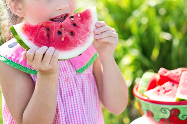 Curso de Nutrição da Estácio lança nova edição de e-book gratuito sobre educação alimentar para alunos das escolas públicas e particulares  