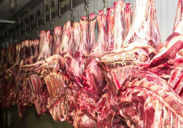Exportação de carne bovina tem alta de 22% e bate recorde em julho
