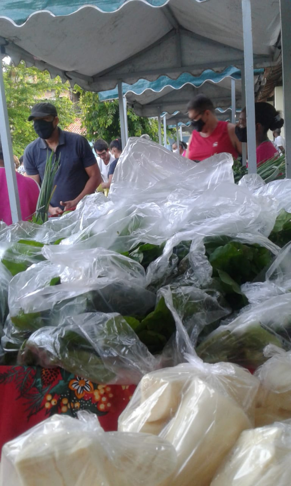 Feira de mulheres em Valença reforça empoderamento feminino