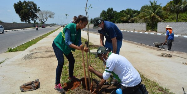 Feira de Santana terá mais mil árvores com o Princesa Mais Verde