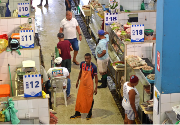 Fim da moqueca? Tilápia e camarão podem deixar de ser vendidos no Brasil