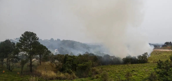Governo federal vai enviar aviões ao interior de São Paulo para combater incêndios