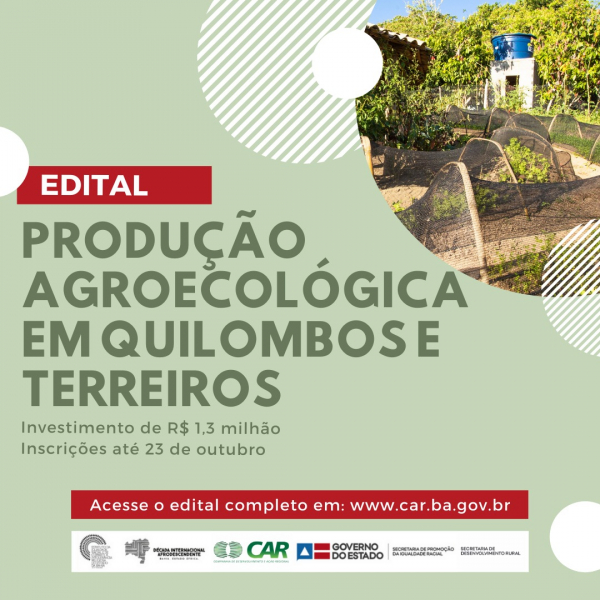 Governo do Estado abre edital para implantação de unidades de produção agroecológica em quilombos e terreiros