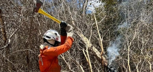 Incêndio atinge Serra do Candombá dentro do Parque Nacional da Chapada Diamantina