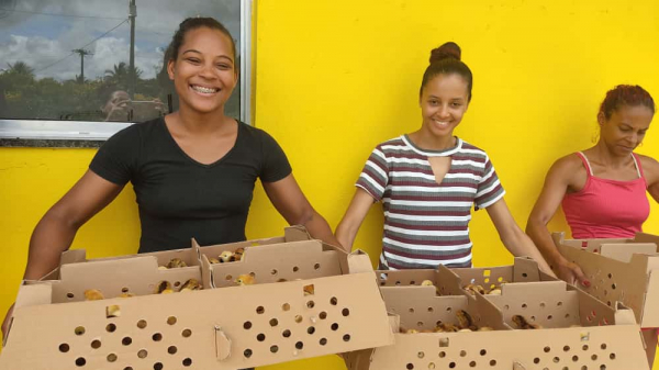 Instalação de galinheiros e entrega de pintos renovam esperança em comunidade quilombola de Araçás