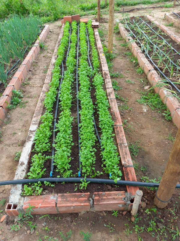 Intercâmbio entre organizações da agricultura familiar apresenta experiências exitosas em agroecologia 