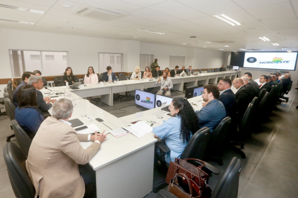 Jerônimo Rodrigues participa de encontro do Consórcio Nordeste para discutir temas ambientais; Bahia coordena trabalhos da Câmara Temática