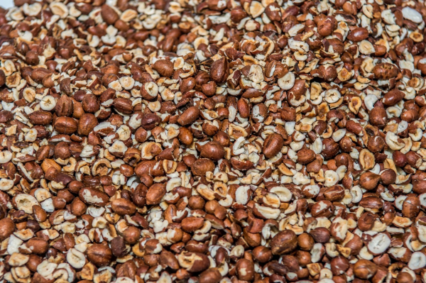 Licuriteria é um dos espaços inéditos da 12ª Feira Baiana da Agricultura Familiar e Economia Solidária