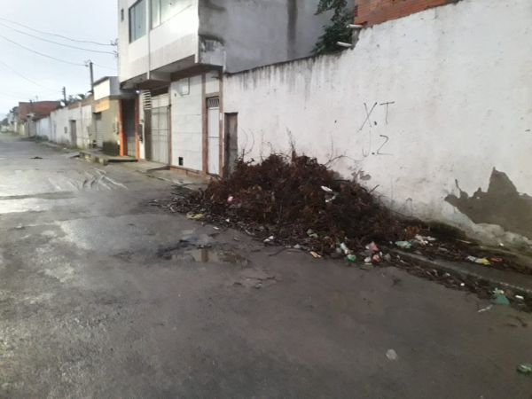 Moradores do Campo Limpo Cobram da Prefeitura de Feira Retirada de Galhos na Rua Campina Verde