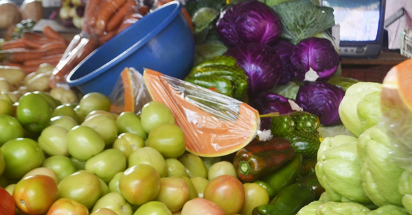 Nutricionista orienta sobre cuidados com a alimentação e hidratação em períodos de calor