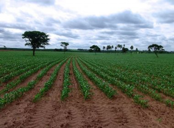 Oeste da Bahia tem 7 das 10 cidades com maior área registrada no Cadastro Ambiental Rural