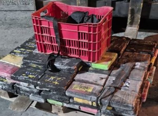PF aborda 3 funcionários e identifica 165 kg de cocaína em container no Porto de Salvador
