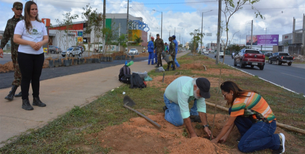 Plantio de mais 70 árvores na avenida Noide Cerqueira marca dia comemorativo