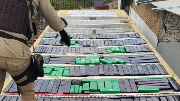Polícia encontra uma tonelada de maconha em caminhão com frangos