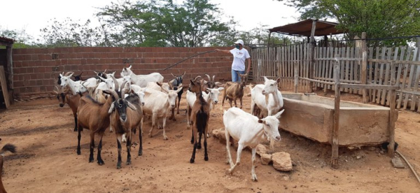 Sacas de milho e tanques-pipa são entregues para a agricultura familiar de municípios atingidos pela seca