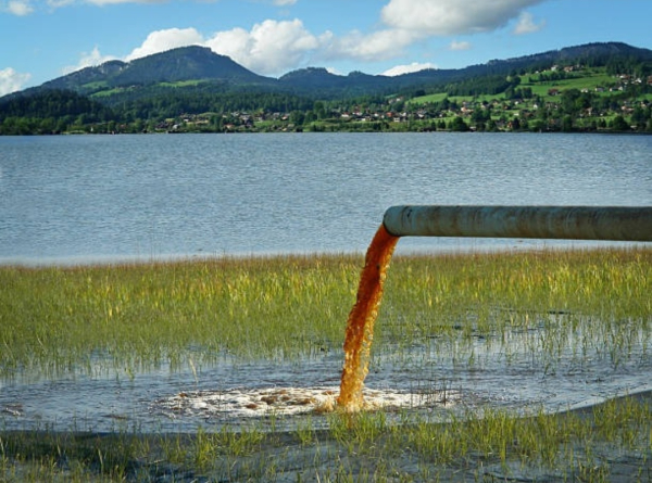 SANGUE DA TERRA 