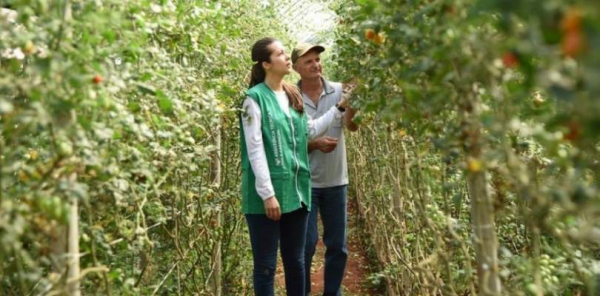 Senar abre inscrições gratuitas na Bahia para cursos técnicos em agronegócio e fruticultura