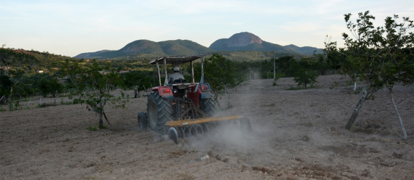 Serviço de aração prepara a terra para o plantio