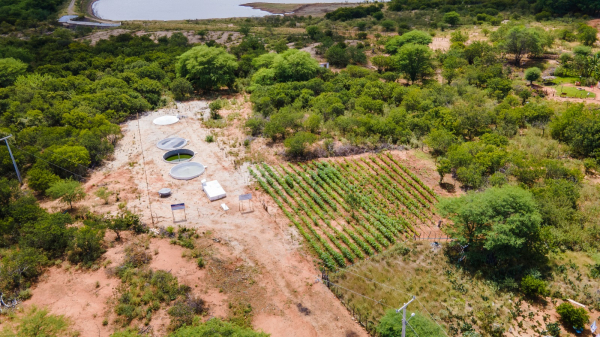 Tecnologias sociais asseguram saneamento básico e acesso à água para famílias do Semiárido da Bahia