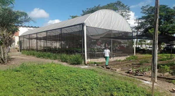 Uefs enfrenta dificuldades para conseguir recursos para reformar unidade experimental