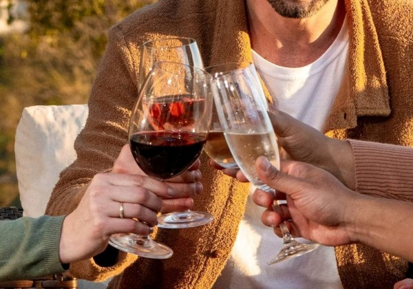 Vinho sem álcool? Produtores brasileiros apostam em opções com teor zero