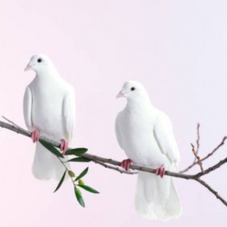  CAMINHOS PARA A PAZ - Dom Itamar Vian Arcebispo Emérito