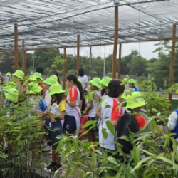 Embasa encerra Semana do Meio Ambiente com mais de mil pessoas mobilizadas em ações de educação ambiental na região