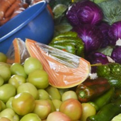 Nutricionista orienta sobre cuidados com a alimentação e hidratação em períodos de calor