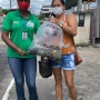 160 mil alevinos são distribuídos para agricultores e agricultoras familiares de municípios do Território Metropolitano de Salvador
