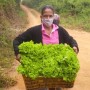 Agricultores do Vale do Jiquiriçá vendem produção para o PAA pela primeira vez