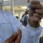 Aplicação das quatro doses contra a Covid nesta segunda-feira (26)