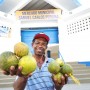 Bahia celebra o Dia do Apicultor com destaque na produção nacional de mel