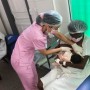 BLH do Hospital da Mulher promove caminhada em alusão ao Agosto Dourado