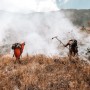 Bombeiros militares controlam incêndio florestal na área de proteção ambiental na Serra do Barbado
