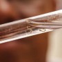 Brasil registra mais 41.322 casos prováveis de dengue e 467 mortes