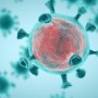 Brasil completa duas semanas com média móvel de mortes por covid acima de 1,5 mil