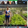 Cadernetas Agroecológicas revela potencial produtivo e de geração de renda da mulher agricultora